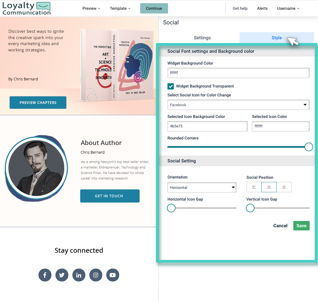 Landing page social media widget style settings