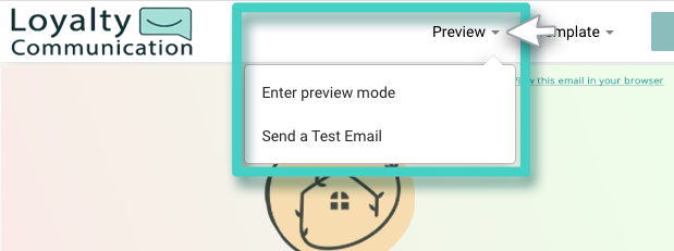 Email creator, preview options. Enter preview mode or send test email