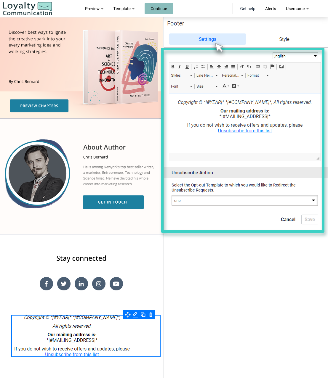 Landing page footer settings Footer widget settings for landing page footer