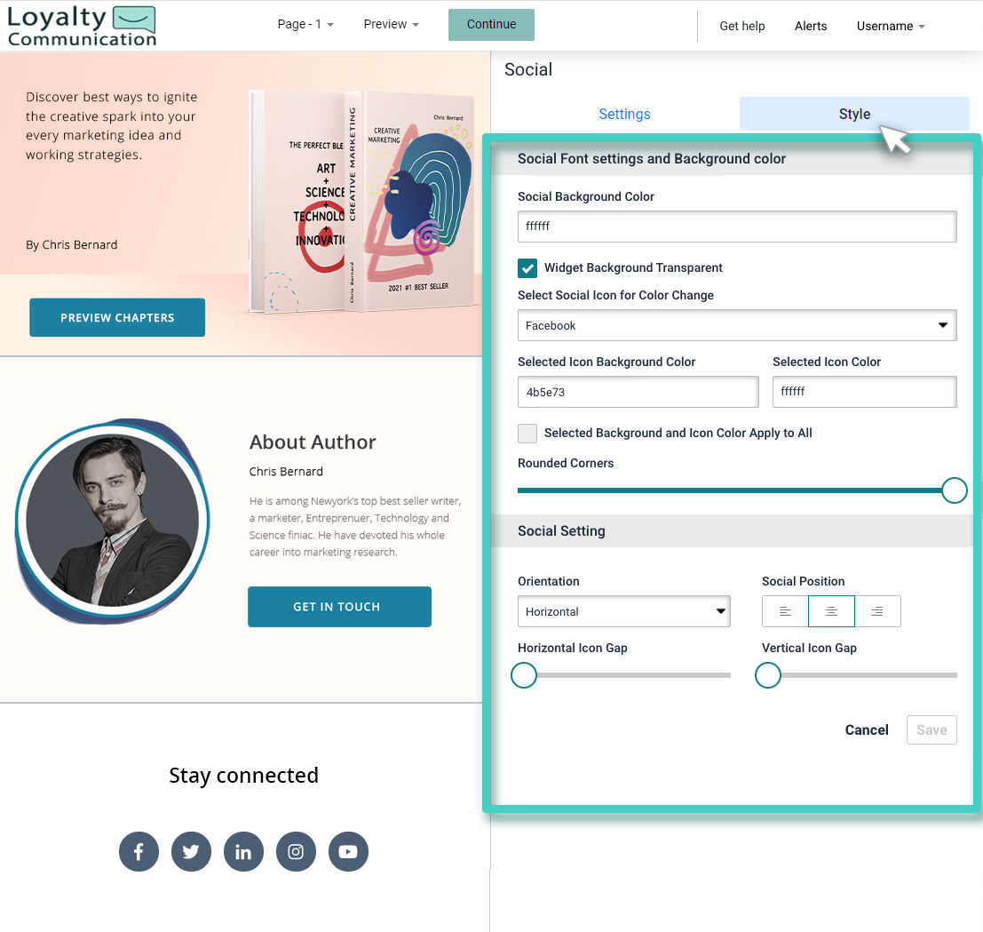 Landing page social media media widget style settings